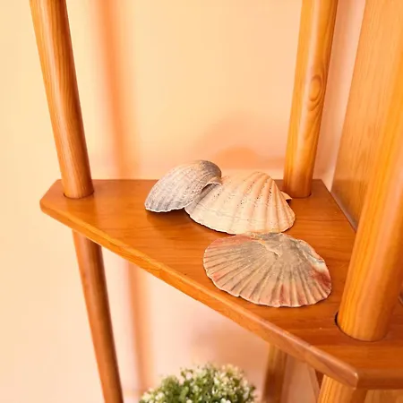 公寓 Mace House 蒙蒂戈杜